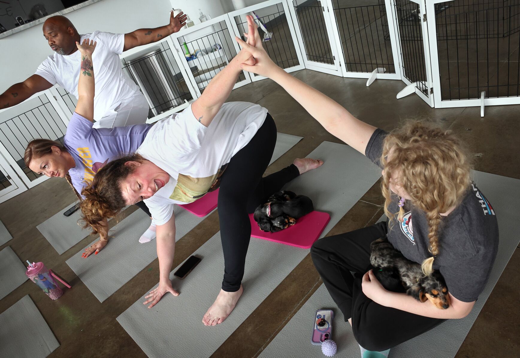 Puppy yoga in 果酱视频